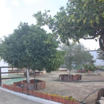 Farm stay Natura