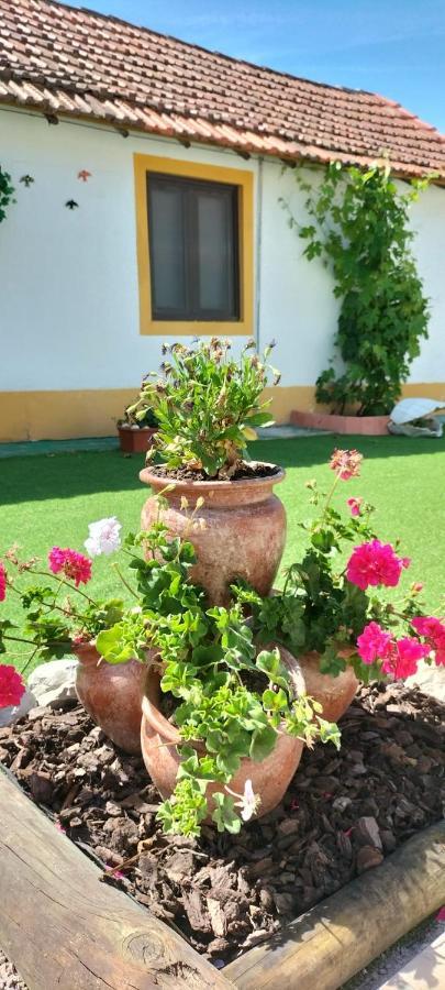 Natura * Barreiro (Setubal)