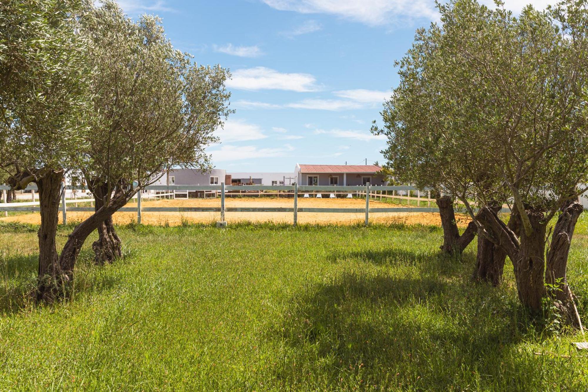 Natura Barreiro (Setubal)